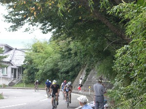森のなかまたちオーナーバイク