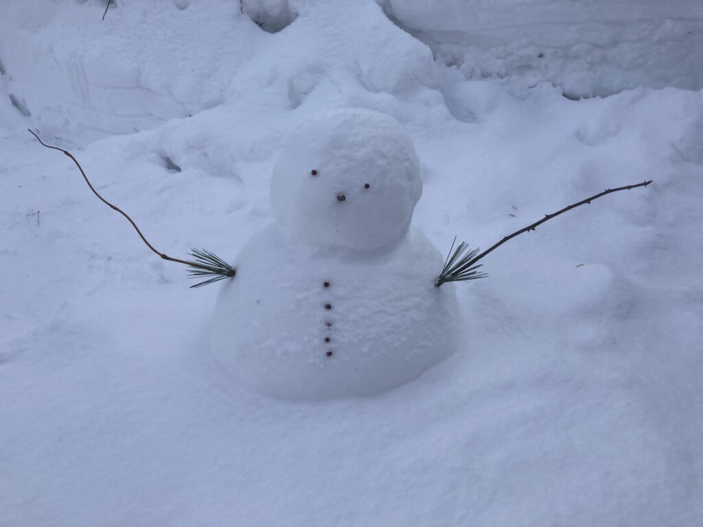 現在の画像: 雪！たくさんです！！